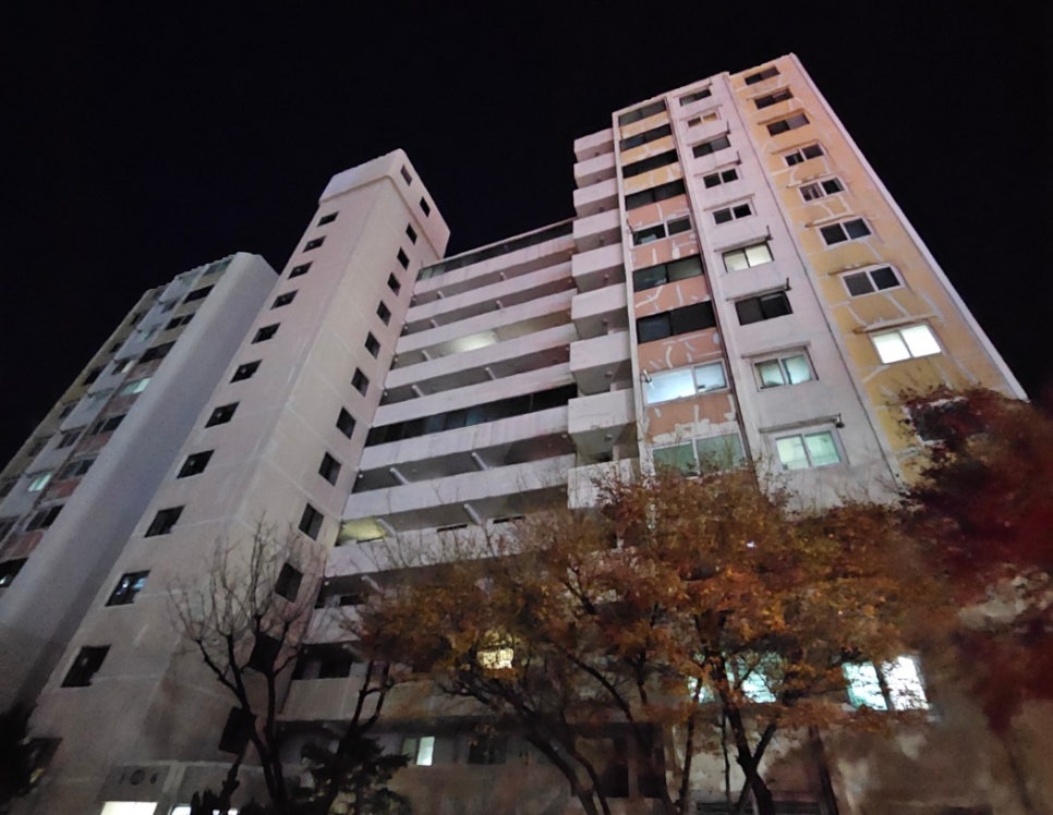 삼진미장 이미지