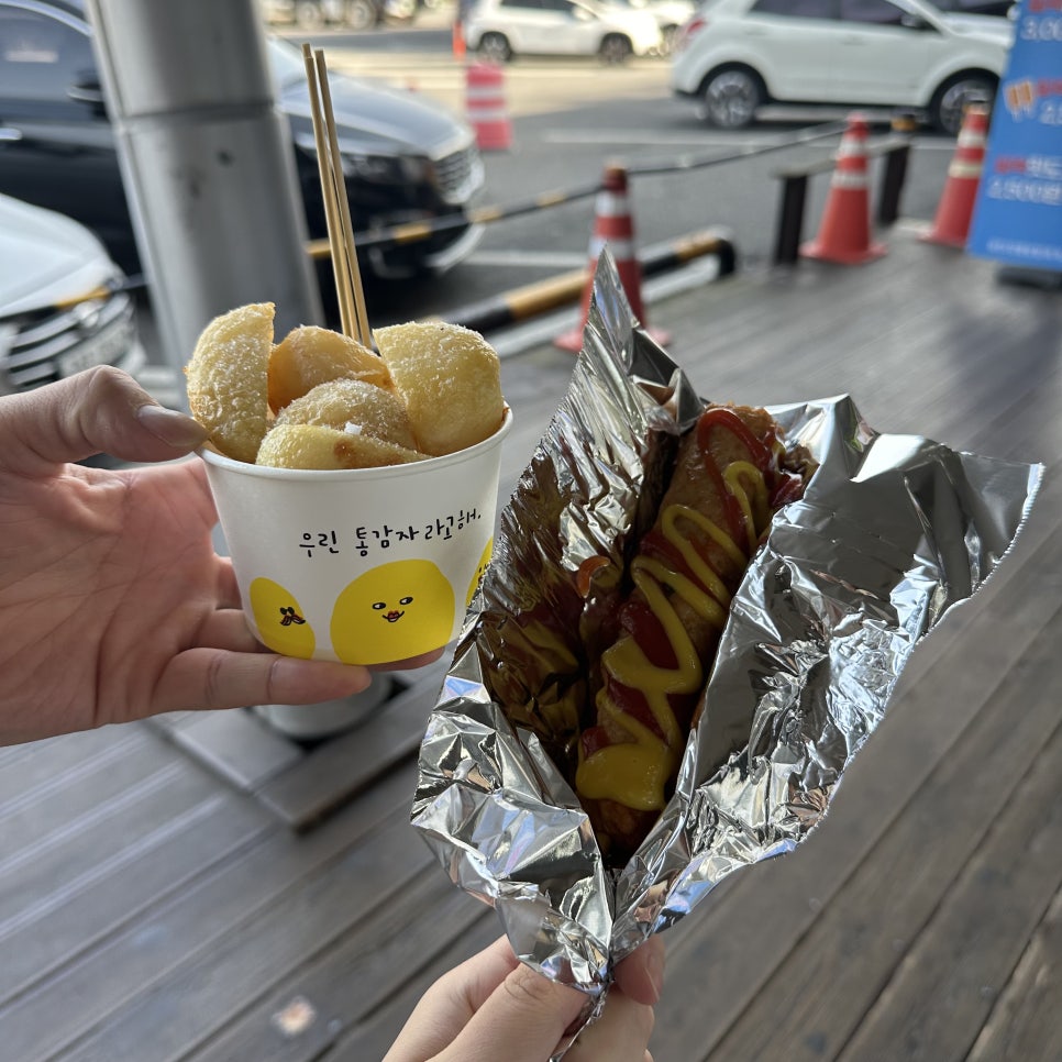 보배김밥 이미지