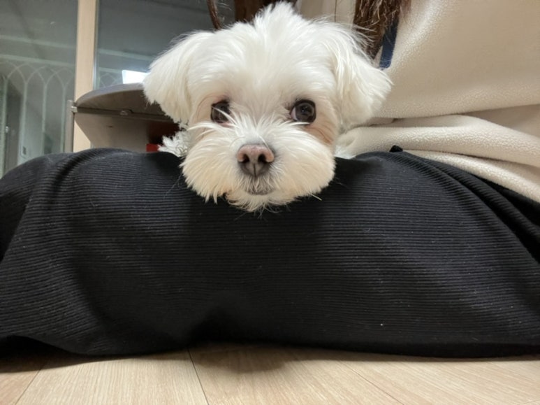 네일온플릭 이미지