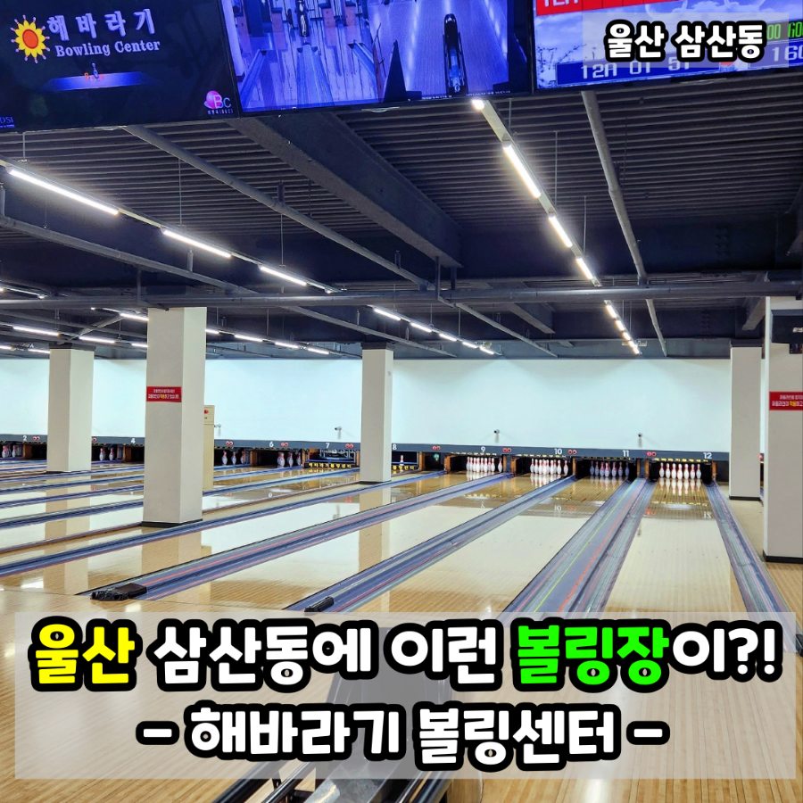 해바라기볼링센터 이미지