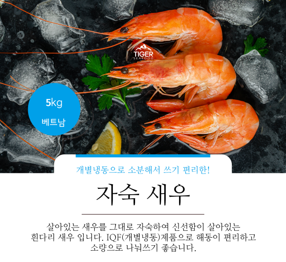 주식회사 타이거 이미지