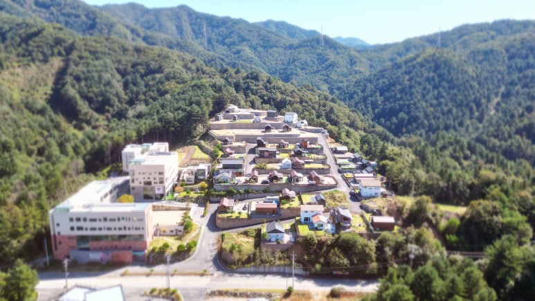 녹색갈증 이미지