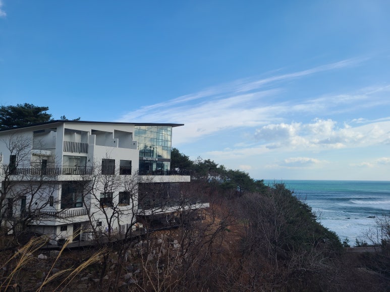 정동진분점 이미지