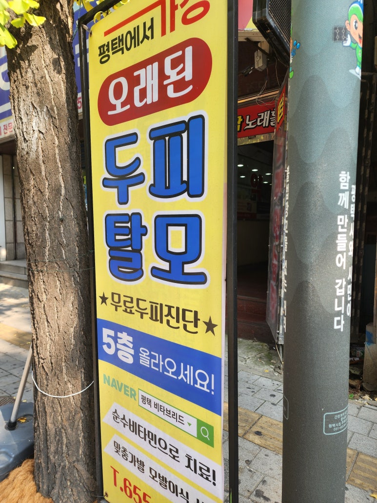 비타브리드스칼프케어 이미지