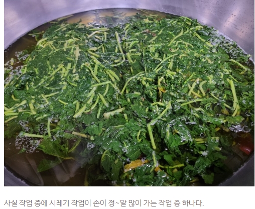 홍가진국 이미지