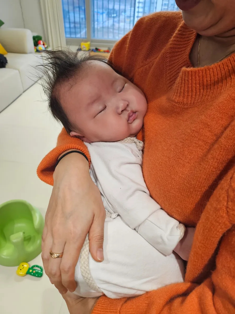 디어마망 이미지