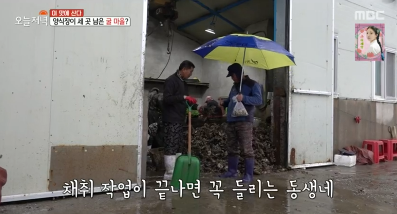 여수39수산 이미지