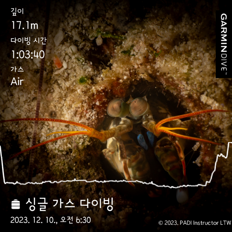 테드다이브 이미지