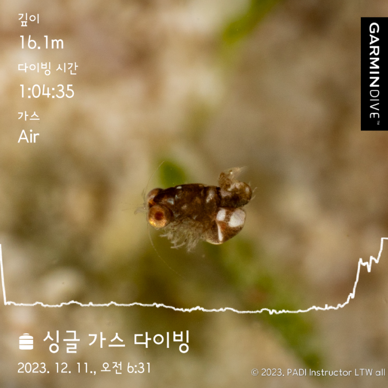 테드다이브 이미지