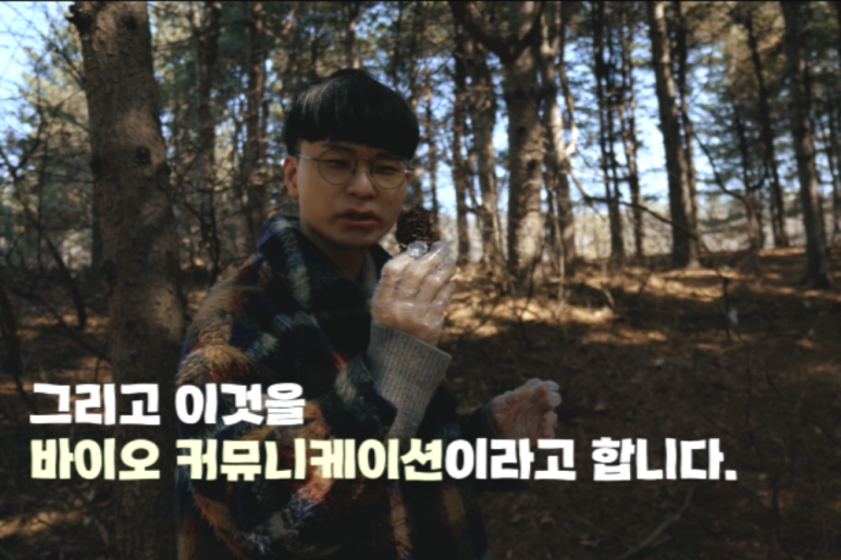 식물들의 소통 이미지