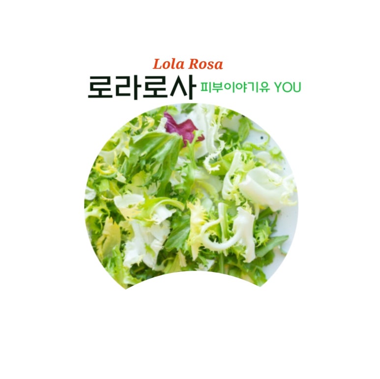 쌈채락 이미지