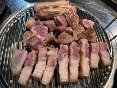 한라도니 이미지