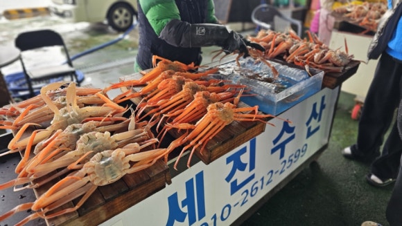 세진수산 이미지
