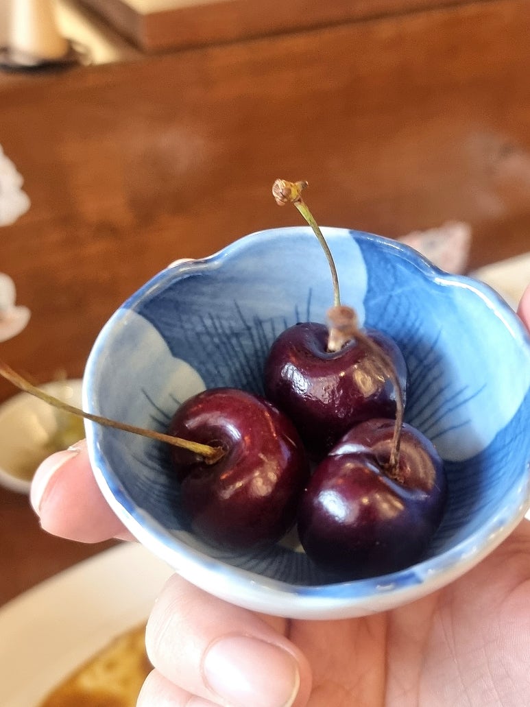 센코카레 이미지