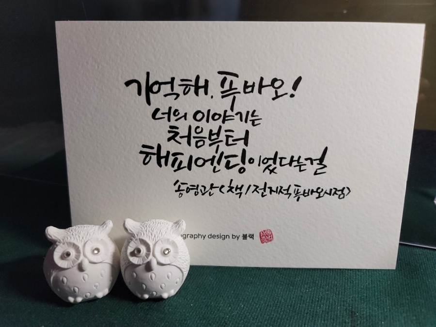 바오캘리 이미지