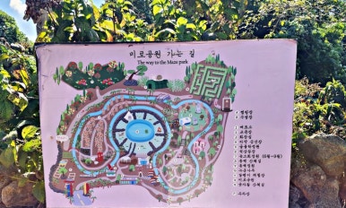 비체올린 이미지