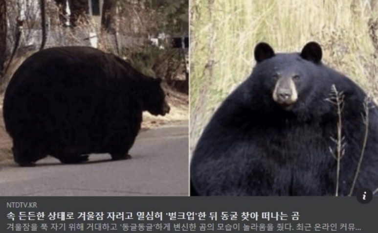 스마일이촌떡볶이 이미지