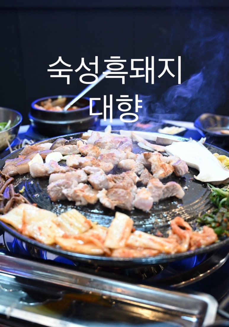 대향흑돼지 이미지