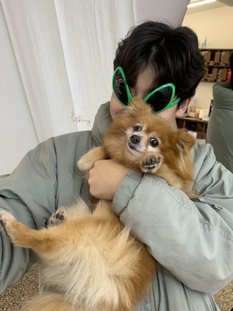 하미우 이미지