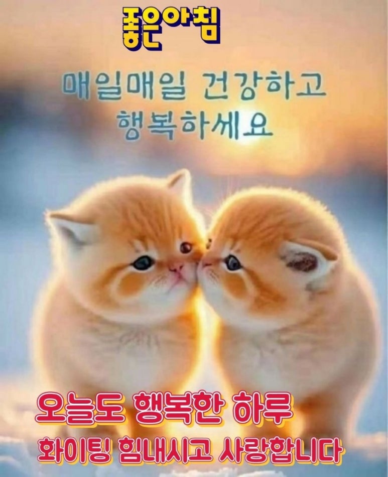 루모스 이미지