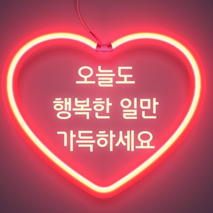 김영미다이어트 이미지