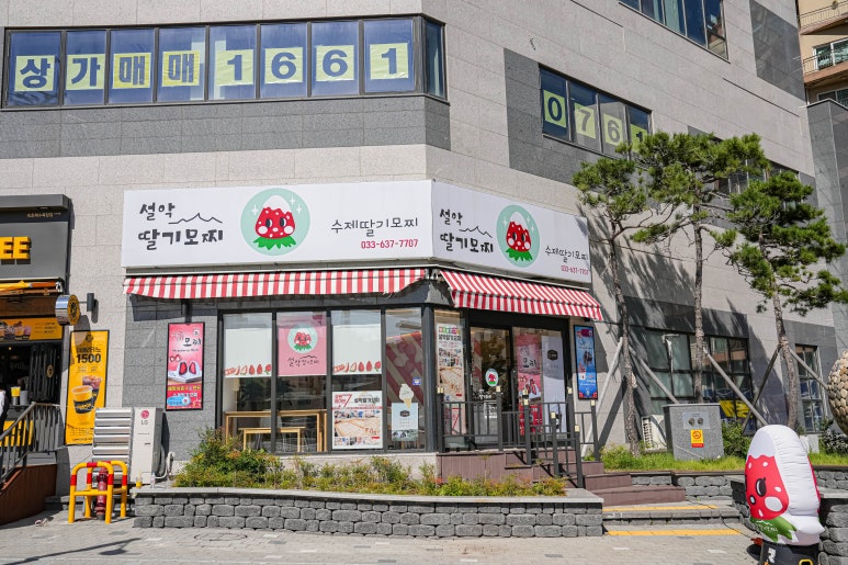 지에스25뉴속초비치점 이미지