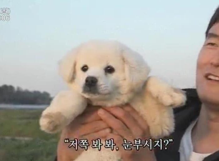 이화악기 이미지