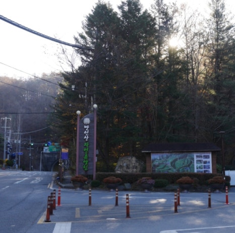 만인산 유아숲체험원 이미지