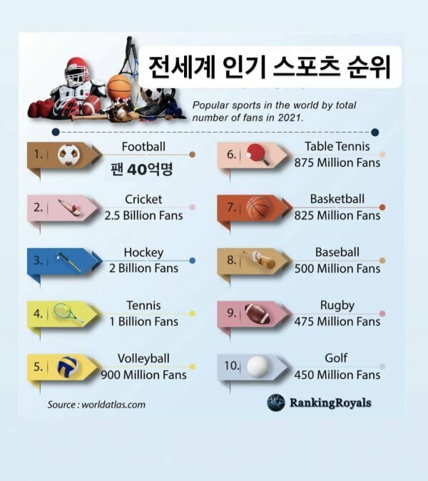 세계로스포츠 이미지