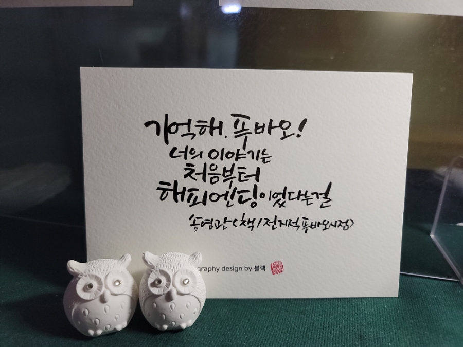 바오캘리 이미지