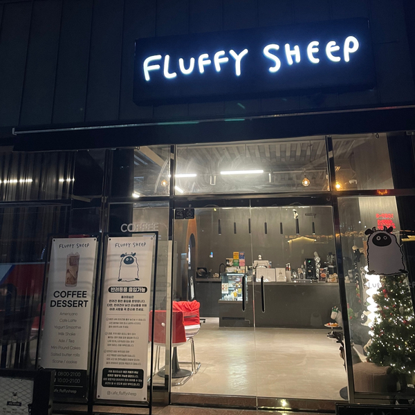 플러피쉽 이미지