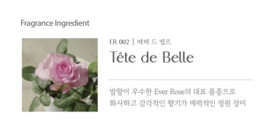 더벨르 이미지