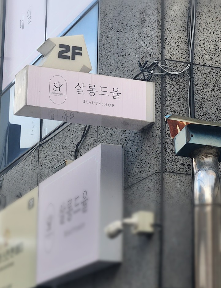 살롱드율 이미지