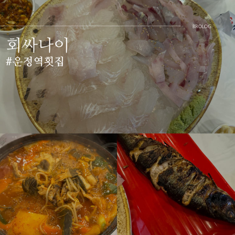 회싸나이 이미지