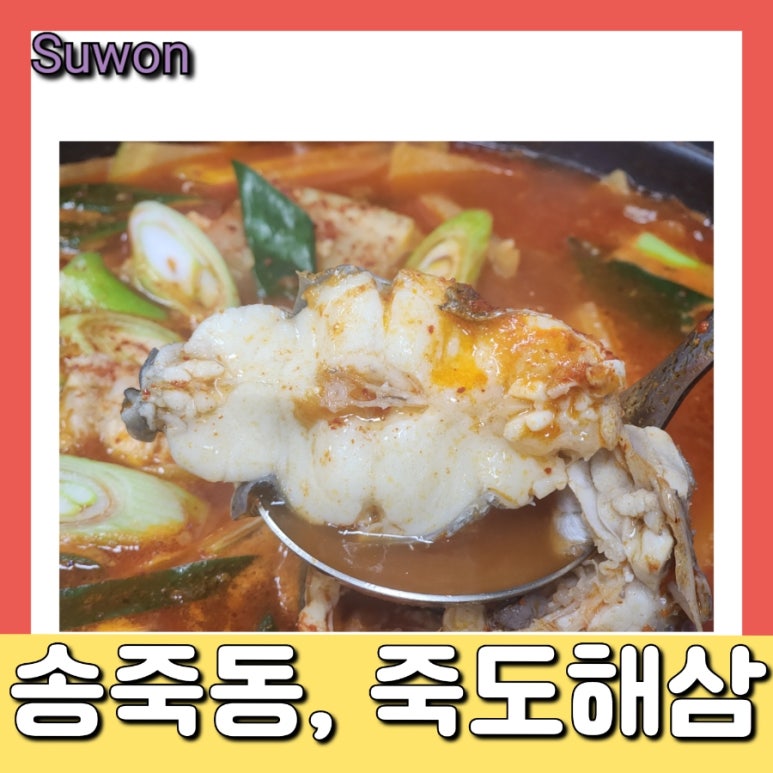 죽도해삼 이미지