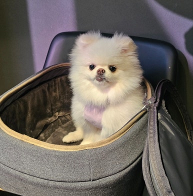 우심(판교점) 이미지