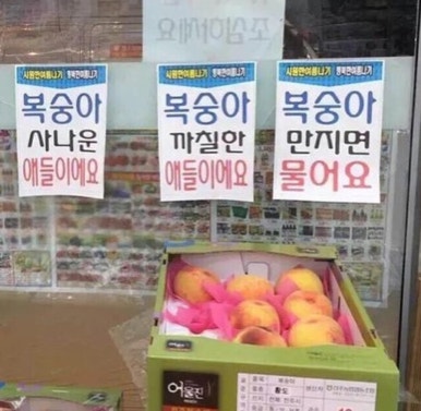 찌리릿 이미지