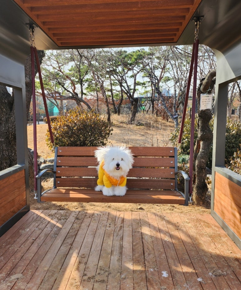 오백샵 이미지