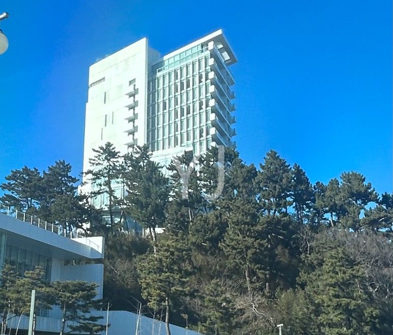 와이제이 홀딩스 이미지