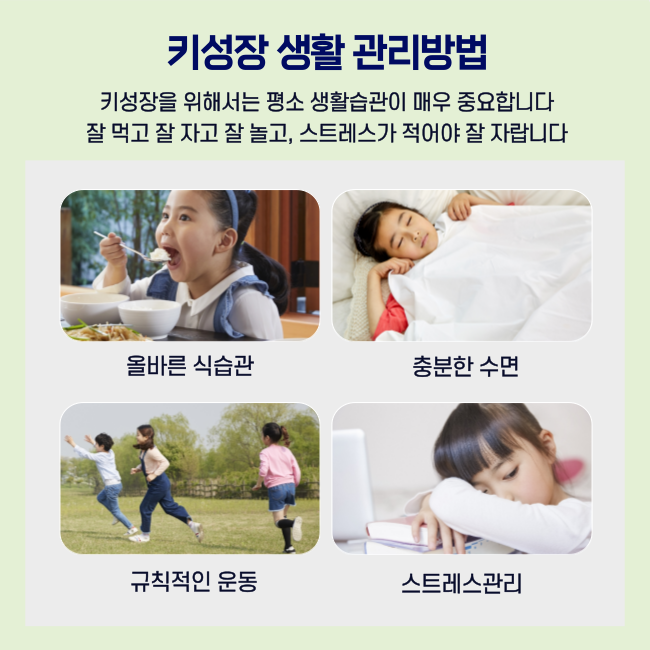 보양 육미방 이미지