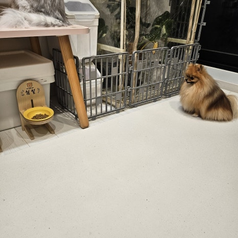 이지사료 이미지