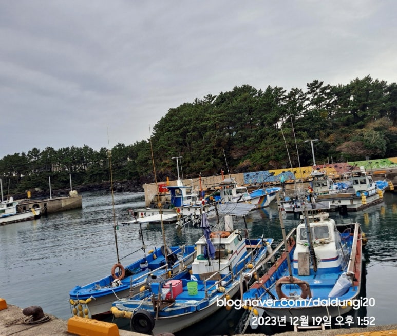 영글어농장2 이미지