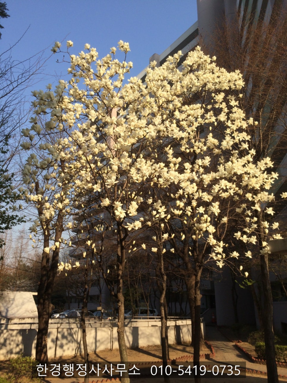 (주)삼성비에스 이미지