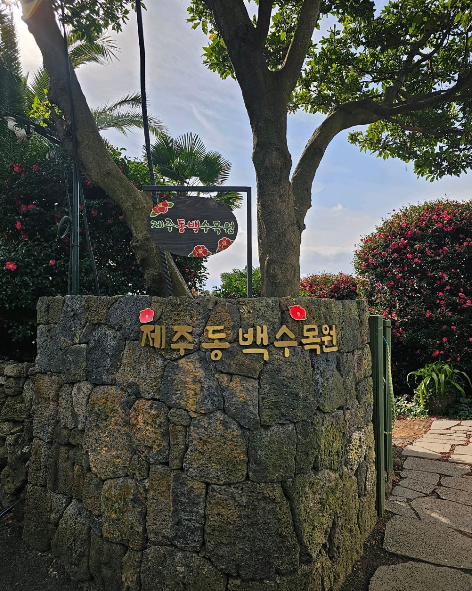 제주자연잔디 이미지