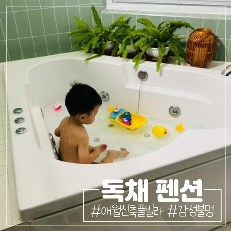 다올스테이 이미지
