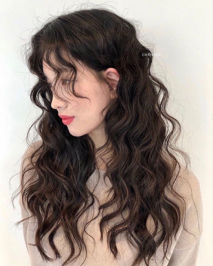 노블리즈 이미지