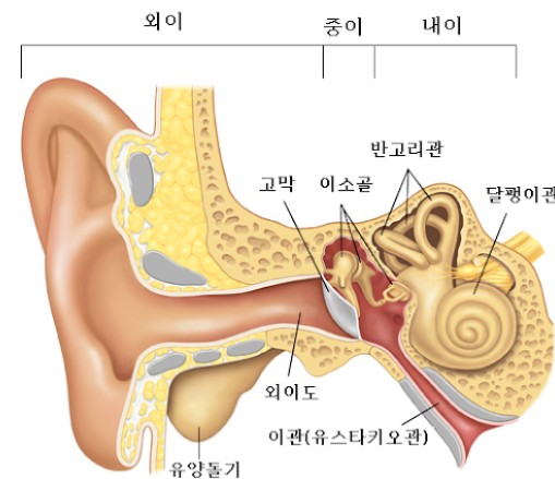 이린 이미지