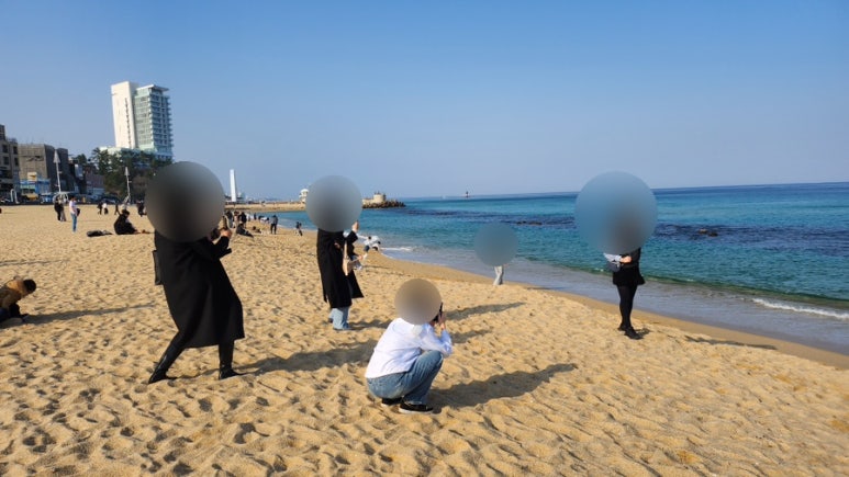 다래투 이미지