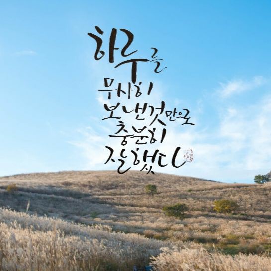 오프룻 이미지
