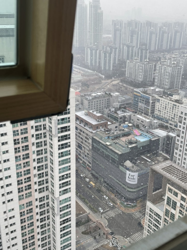 가고파감자옹심이 이미지